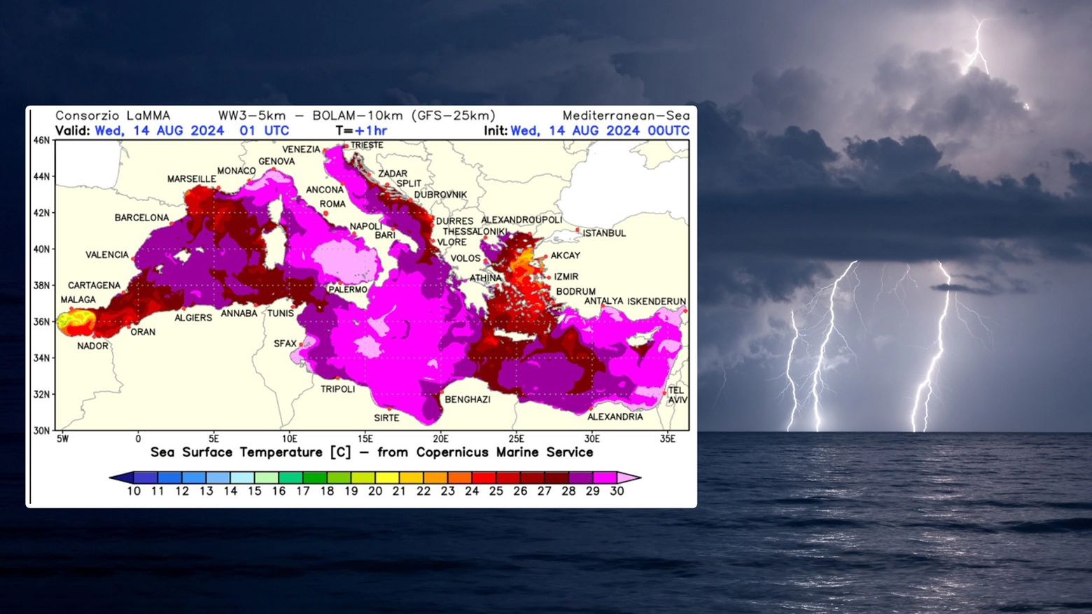 Il grafico del Lamma che mostra le temperature del mare