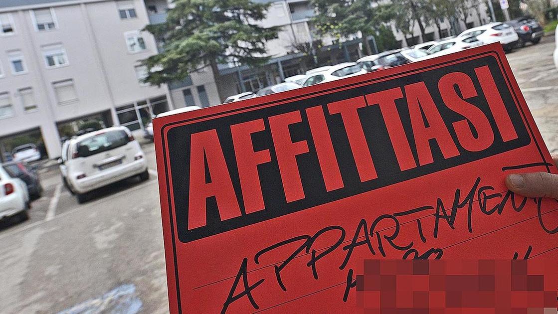 Reintegro del contributi affitti. Il Pd prosegue la raccolta firme