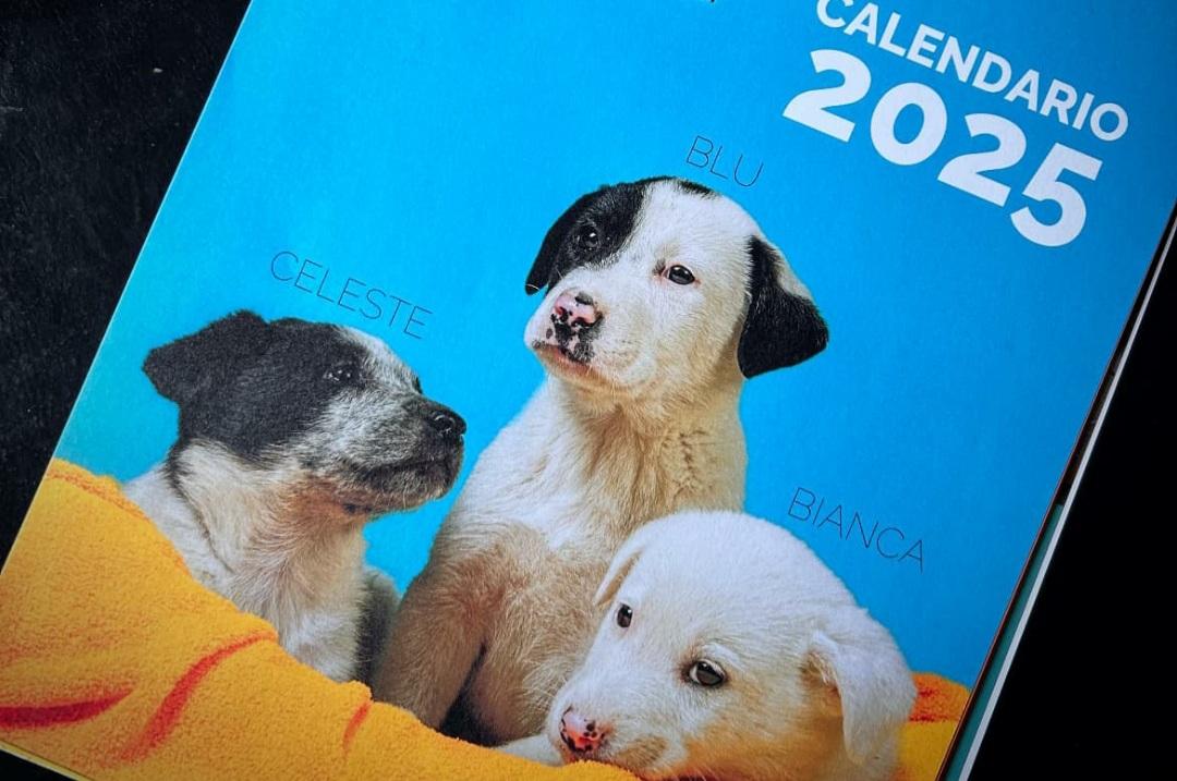 Sarteano, un calendario 2025 speciale per aiutare gli animali in difficoltà