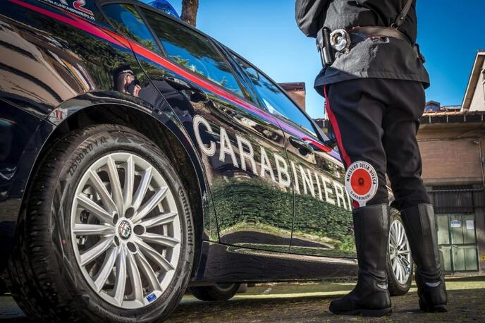 L'operazione dei carabinieri di Lari (Foto Ansa)