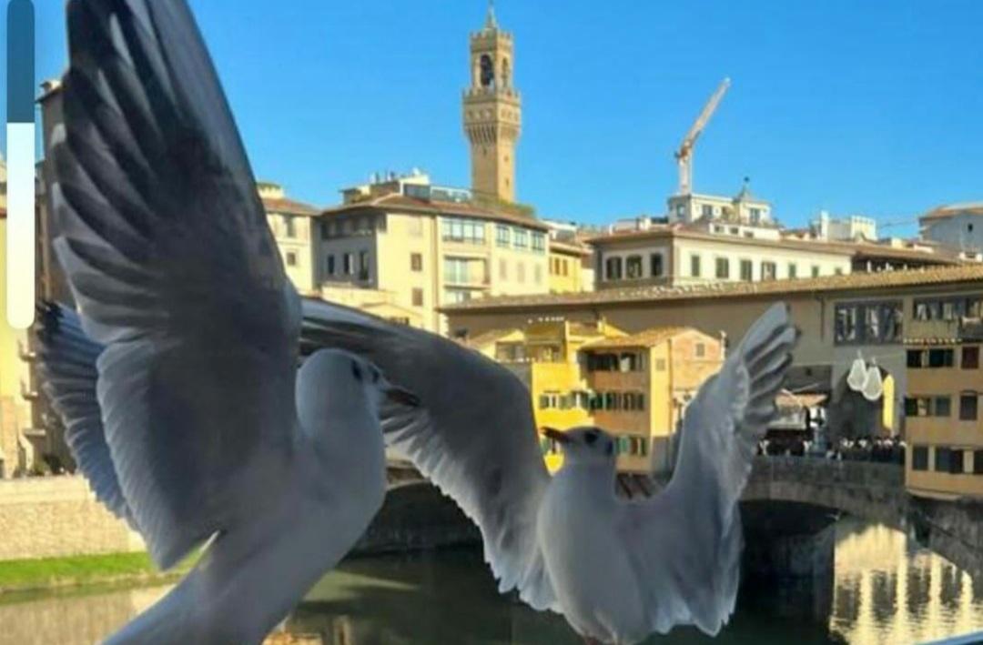 Firenze in 12 scatti per il calendario solidale