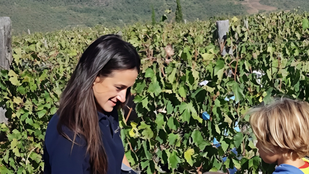 La Fraternita dei Laici organizza la "Vendemmia e il Pranzo Contadino" presso l'Agriturismo "La Concezione" a Castiglion Fibocchi il 28 settembre. Un'occasione unica per partecipare attivamente alla vendemmia, imparare i segreti della produzione del vino e gustare prodotti tradizionali aretini. Posti limitati, prenotazioni al 347 6209006.