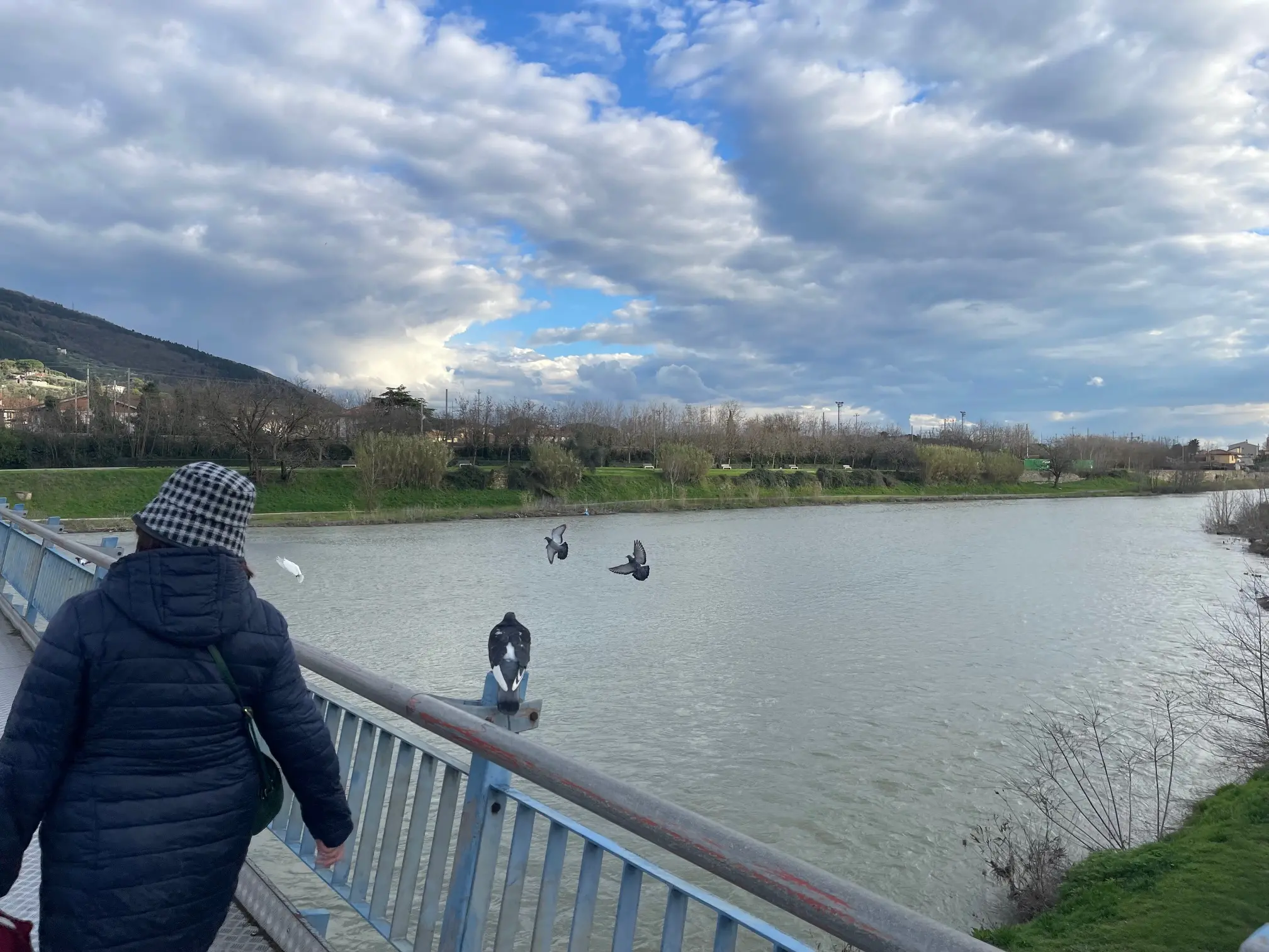 Allerta meteo, scuole chiuse a Prato e provincia. Stop a mercati, cimiteri e giardini