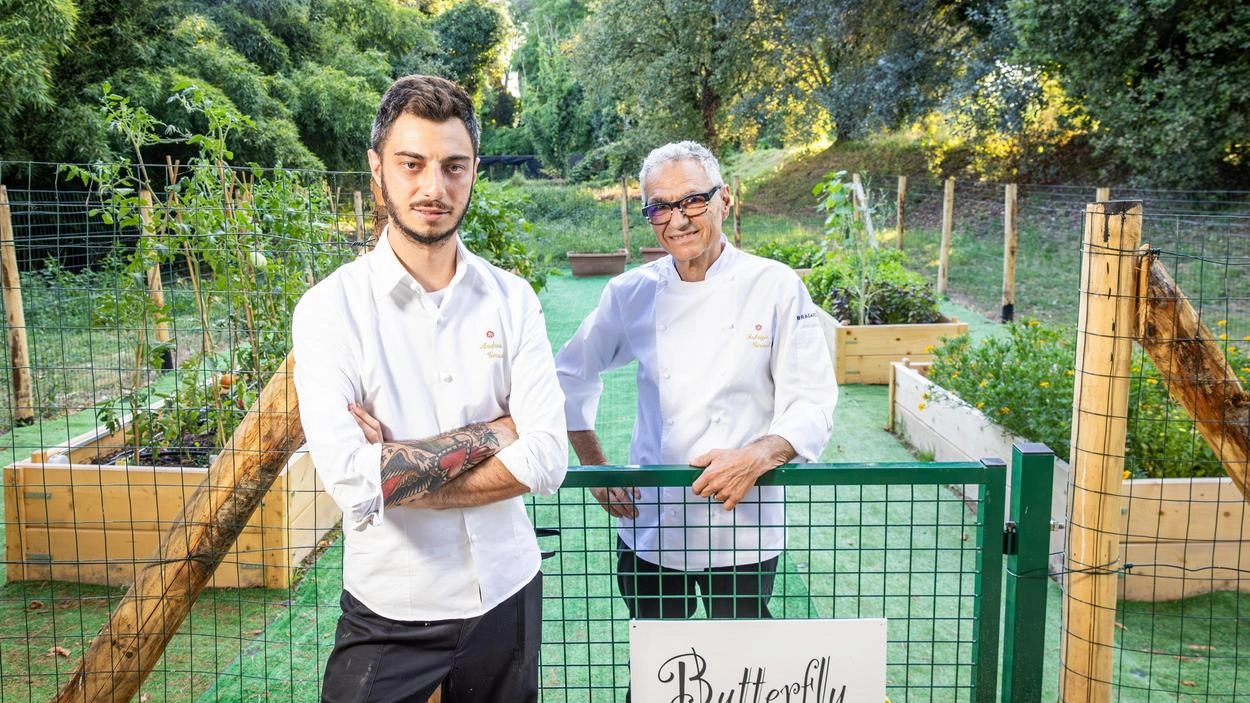 Brilla a Marlia la stella “Butterfly“. Girasoli: "Un’emozione di famiglia"