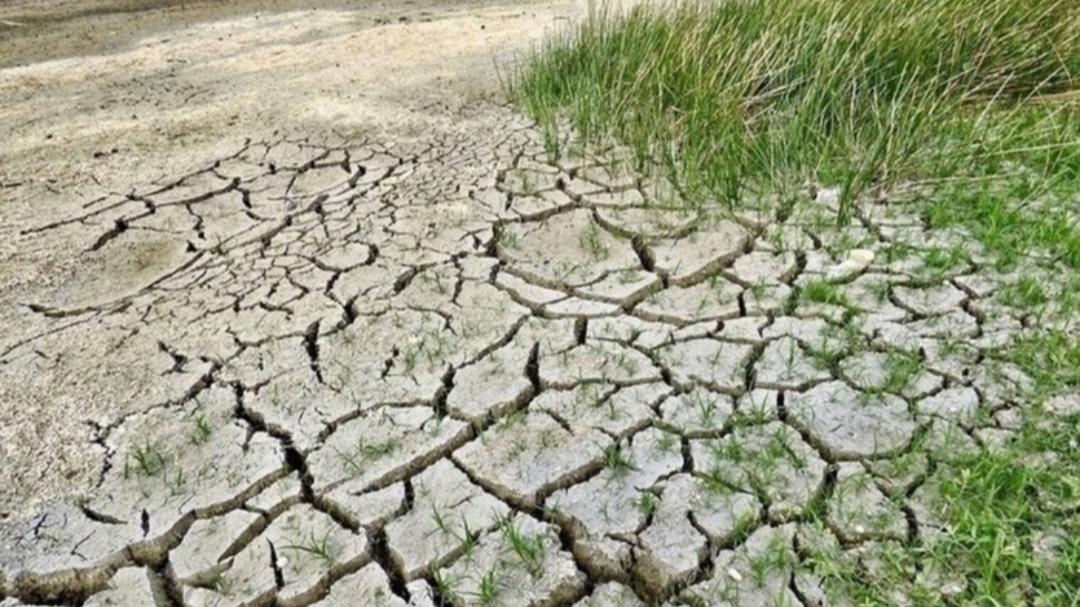 17 giugno, Giornata della siccità: anche l’Italia è a rischio desertificazione