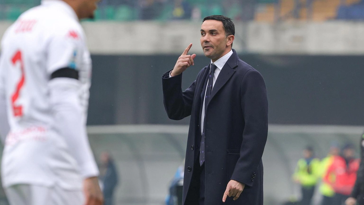 Fiorentina-Panathinaikos, ecco Palladino: "Dobbiamo passare a ogni costo”