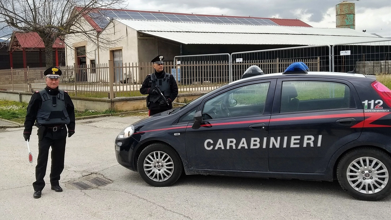 Operazione antidroga dei carabinieri