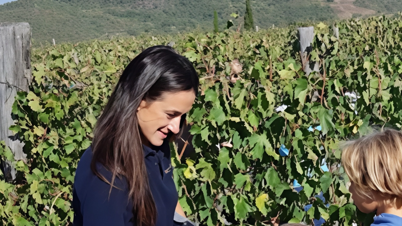 Domani alla Tenuta di Frassineto si terrà "Cantine aperte in vendemmia", evento enologico imperdibile per gli appassionati di vino. Visite ai vigneti, cantine storiche e degustazioni di eccellenze locali.