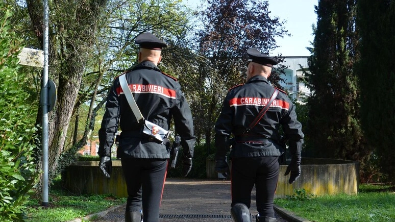 Sulla vicenda indagano i carabinieri (foto d'archivio)