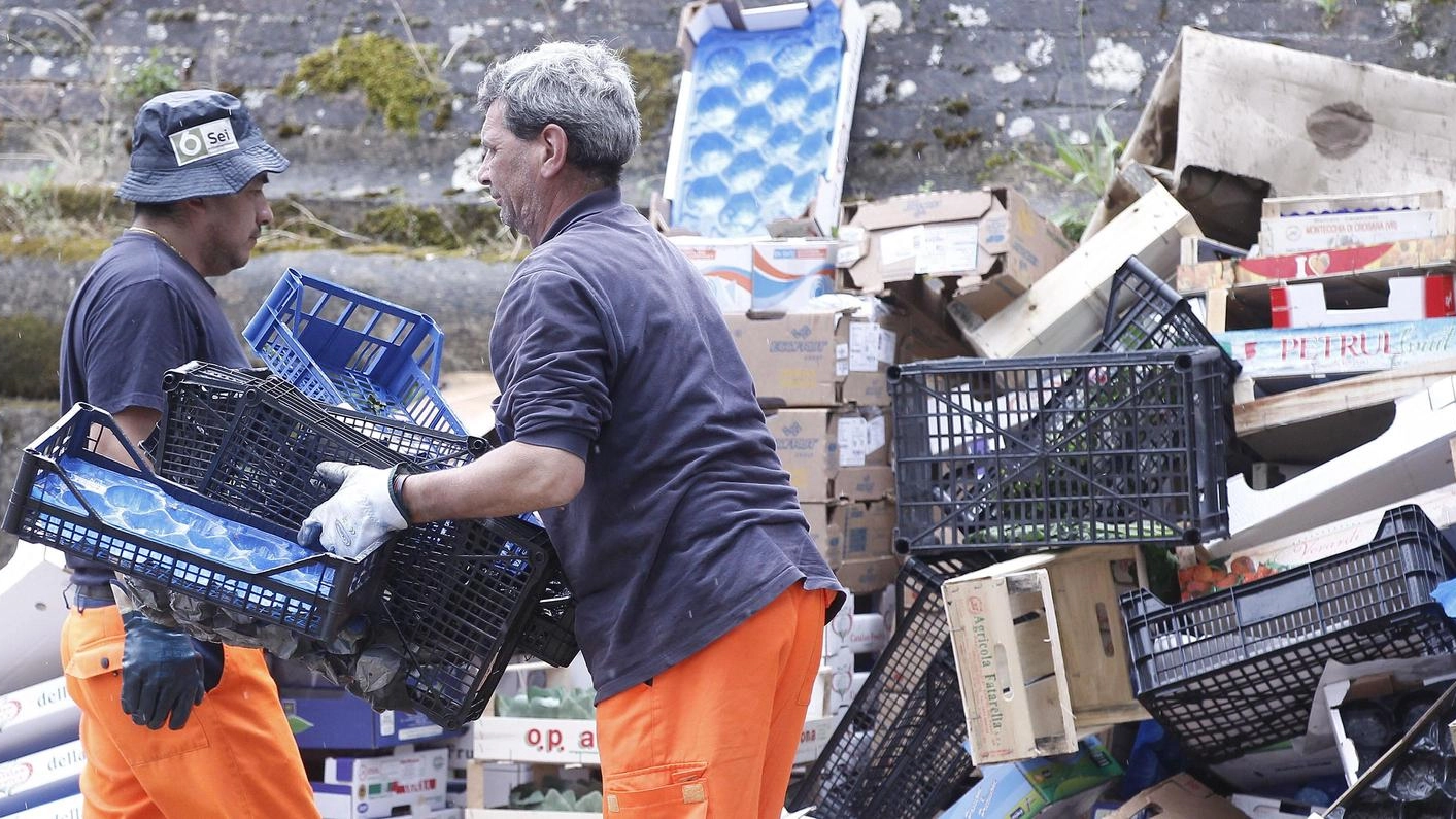 Tari, scoperti 966 furbetti. Pioggia di avvisi ai cittadini  per omessa dichiarazione