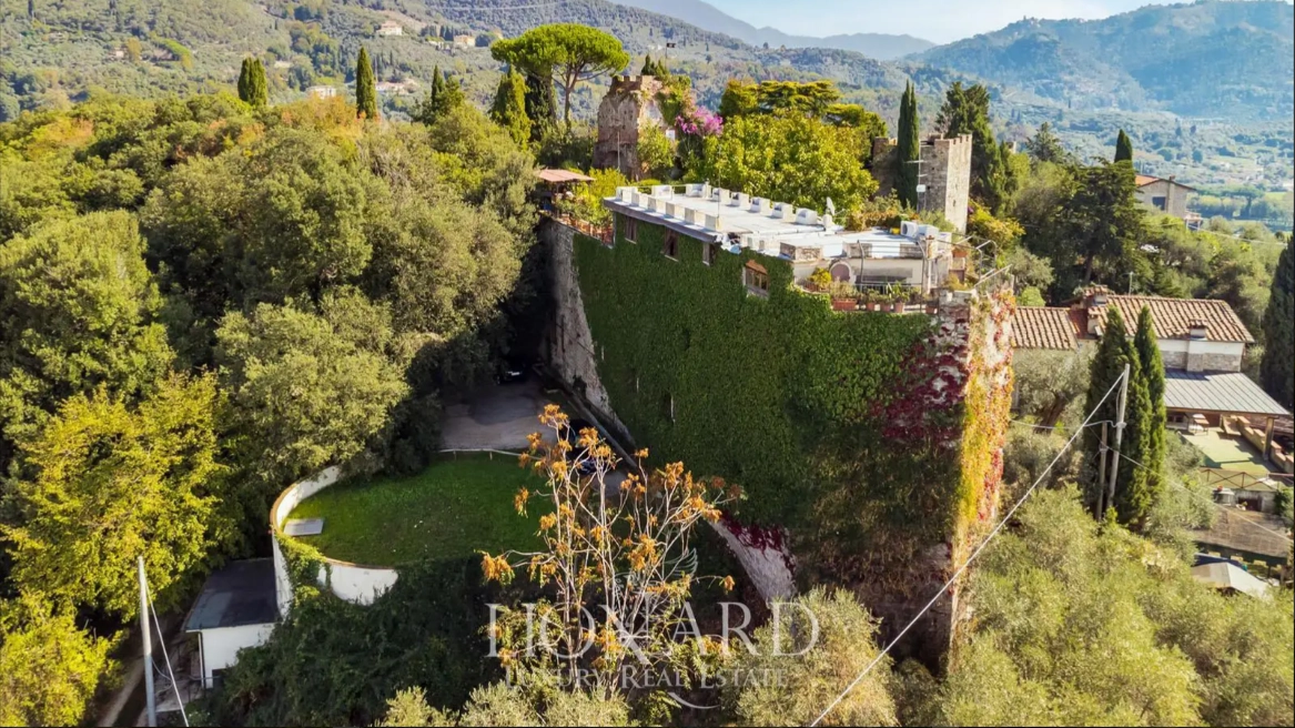 Sulle colline della Versilia