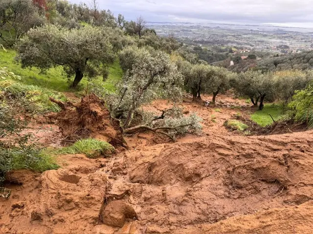 Terreni e campi allagati, gli agricoltori: “Raccolti compromessi. Di nuovo pioggia? Sarà il colpo di grazia”