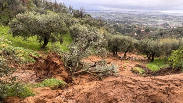 Una desolante immagine post alluvione in campagna