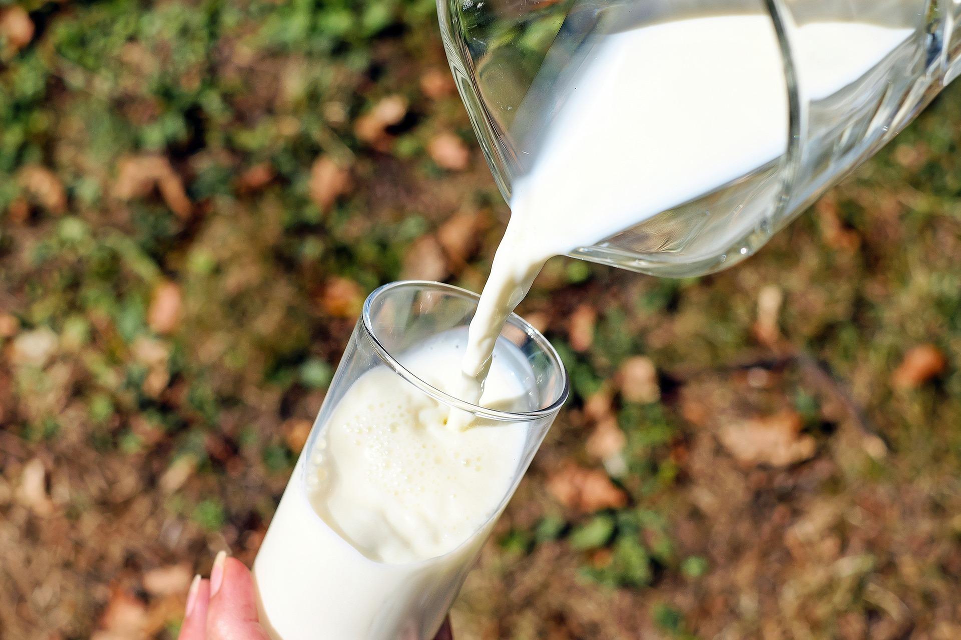 Latte, l’allarme di Confagricoltura Toscana: “I costi per gli allevatori aumentano”