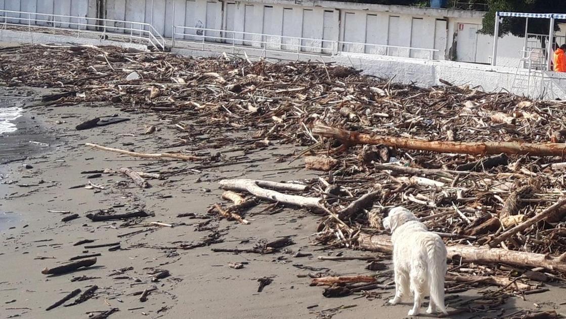 Pulizie di primavera sulle spiagge amegliesi