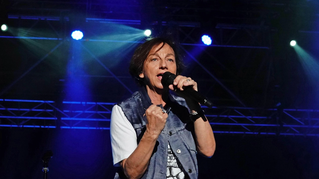 Gianna Nannini sul palco del Pistoia Blues nel 2018 (Acerboni/fotoCastellani)