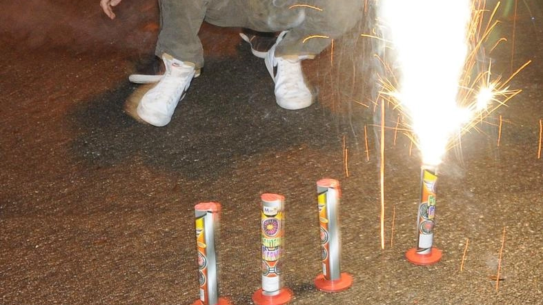 Stop ai botti e ai fuochi d’artificio di Capodanno per tutelare gli animali