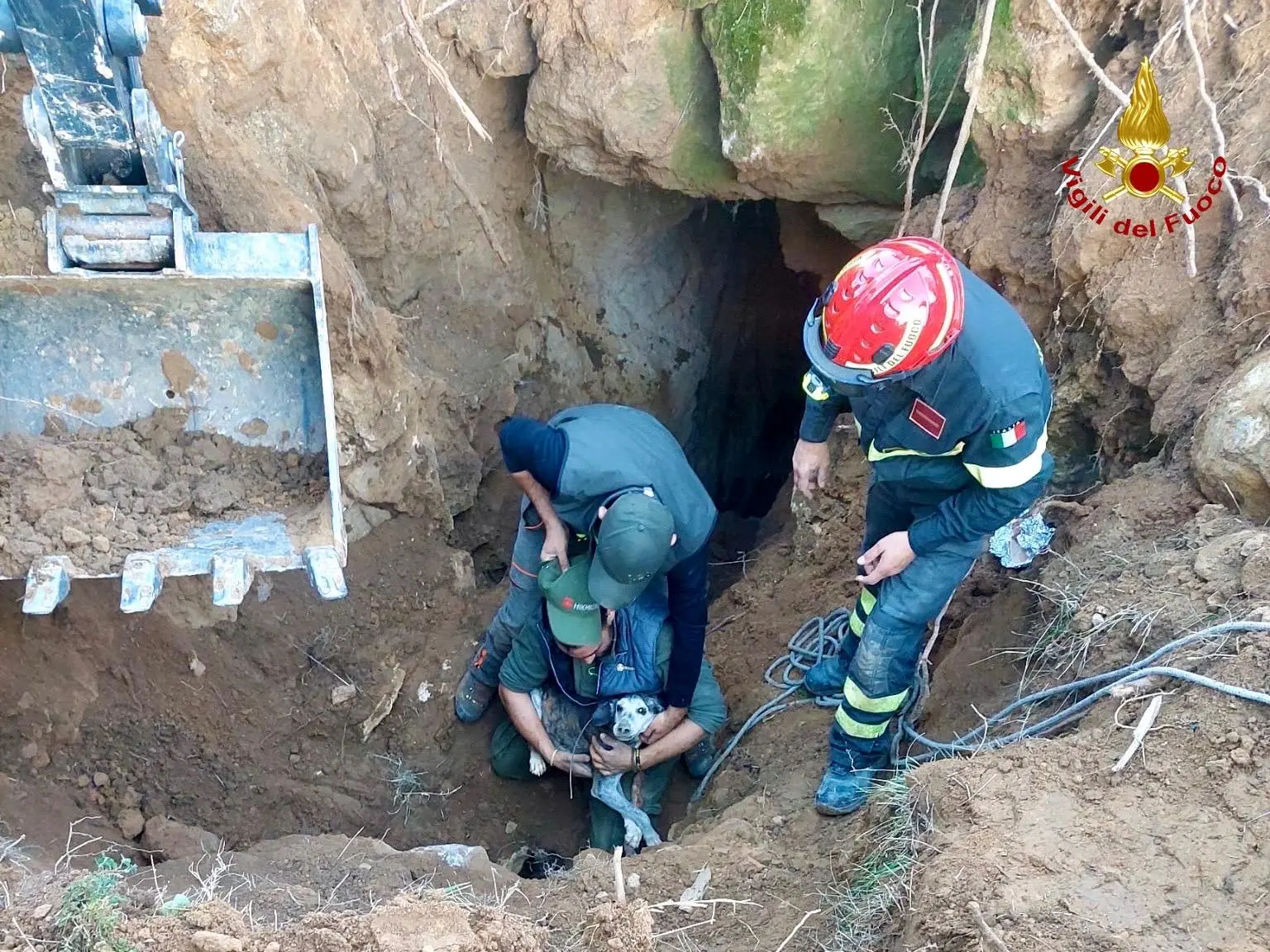 Cane cade in un crepaccio, sette ore di lavoro per salvarlo