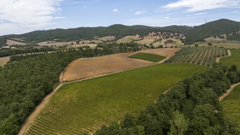 La Maremma soffre lo spopolamento