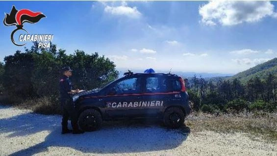 Le indagini sono state condotte dai carabinieri forestali