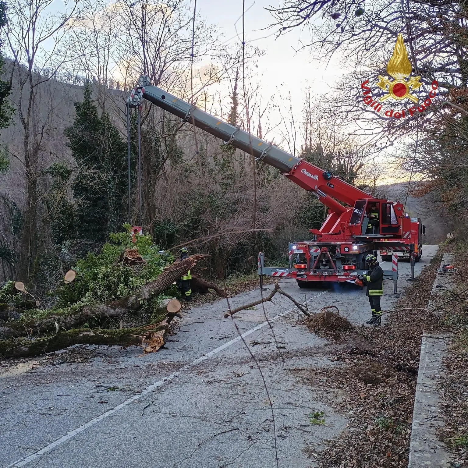 Raffiche fortissime, danni ad Arezzo. Alberi caduti e strade interrotte