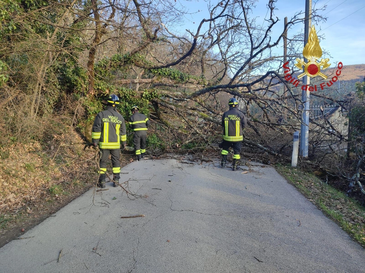 immagine di sfondo 14