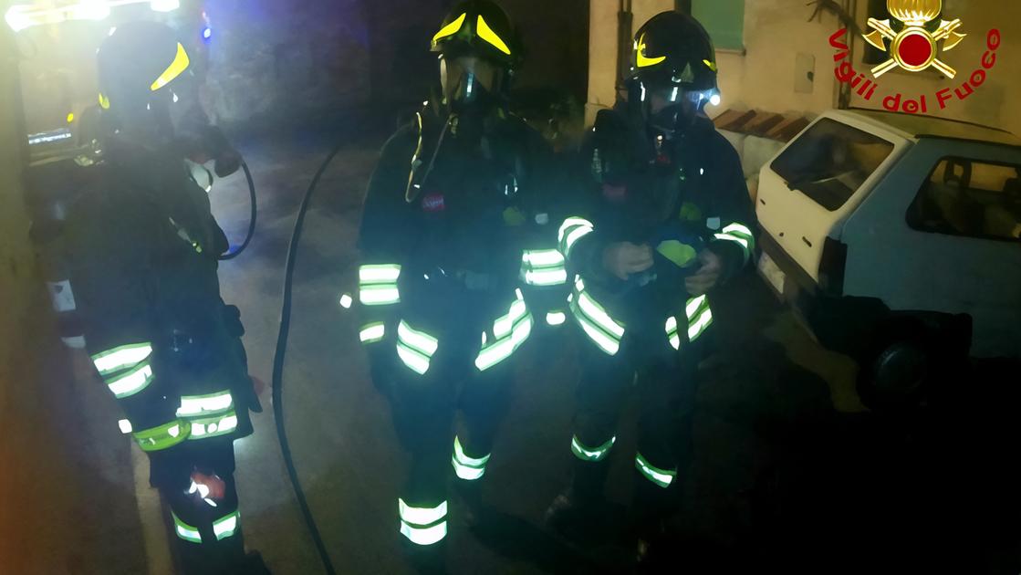 Paura per un incendio in casa. I vigili salvano cane e gatto