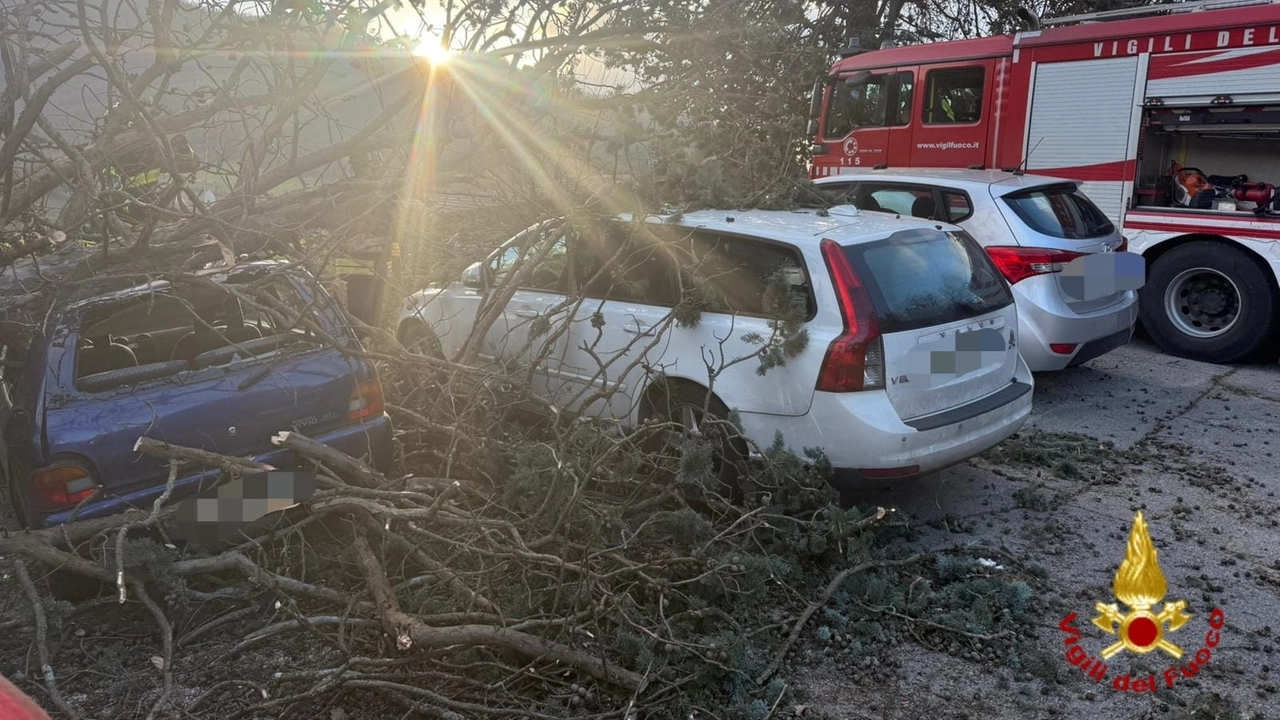 Le auto danneggiate a Vernio