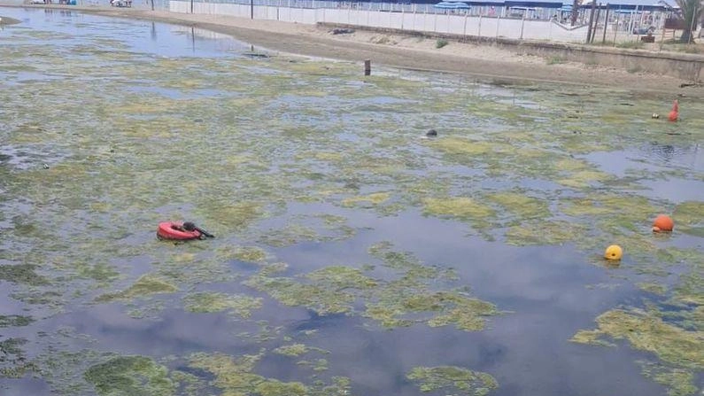 La pulizia della Fossa. Alghe infestanti nel canale. Interviene il Consorzio