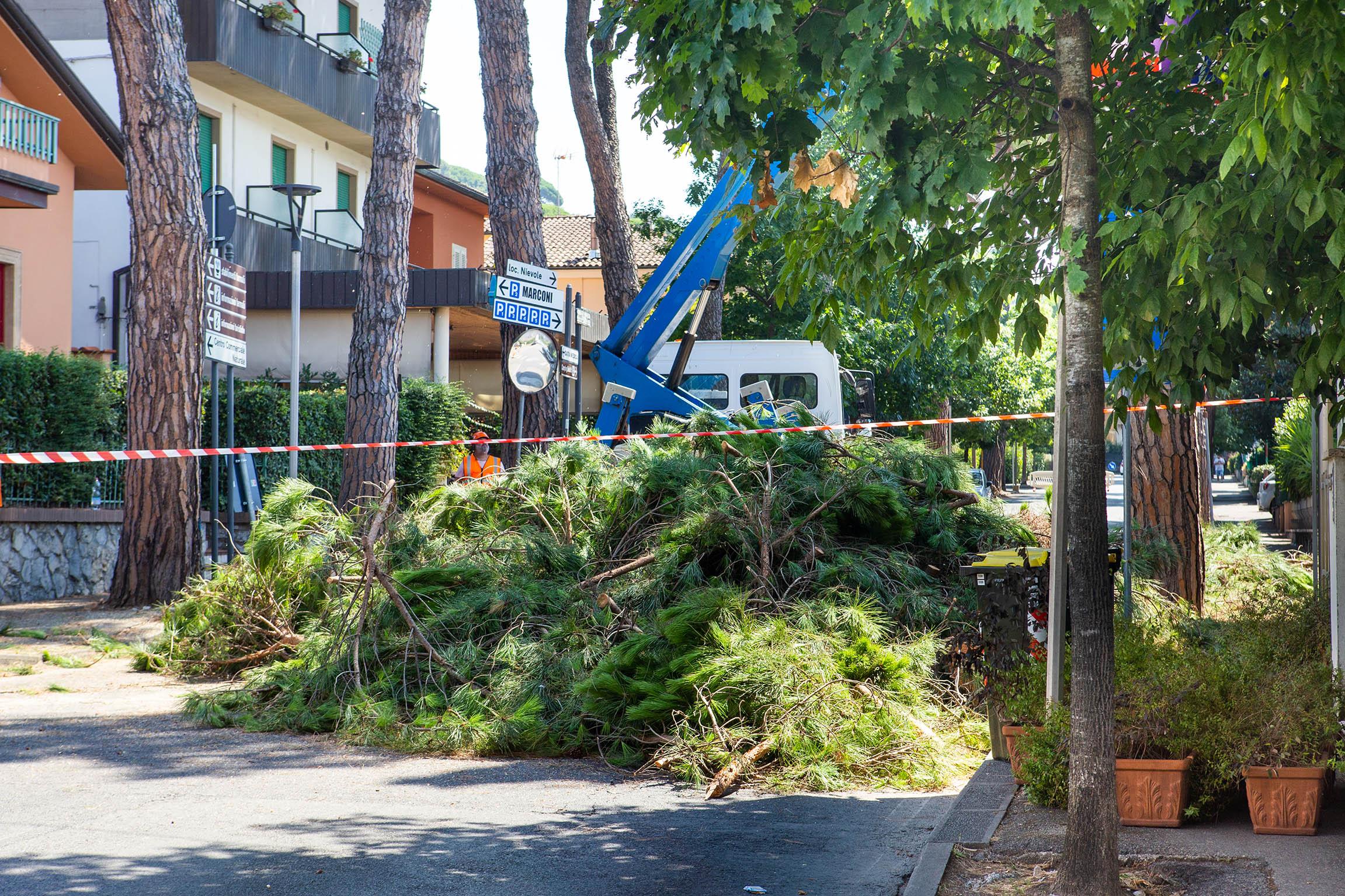 Montecatini: privati per curare il verde. Rivoluzione spazi pubblici. Il Comune cerca sponsor