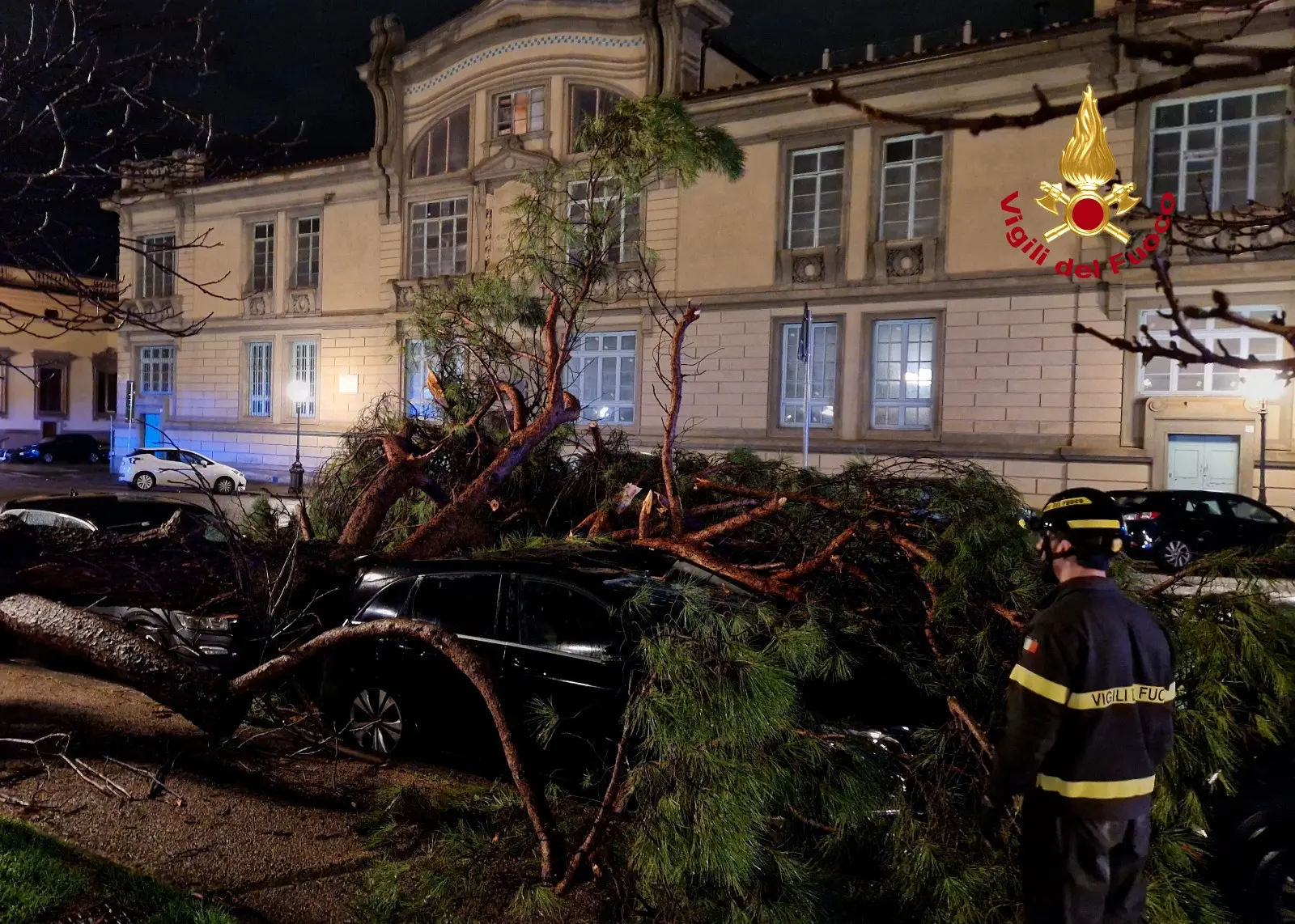 Firenze, albero piomba su due auto parcheggiate. Diversi gli interventi per il maltempo