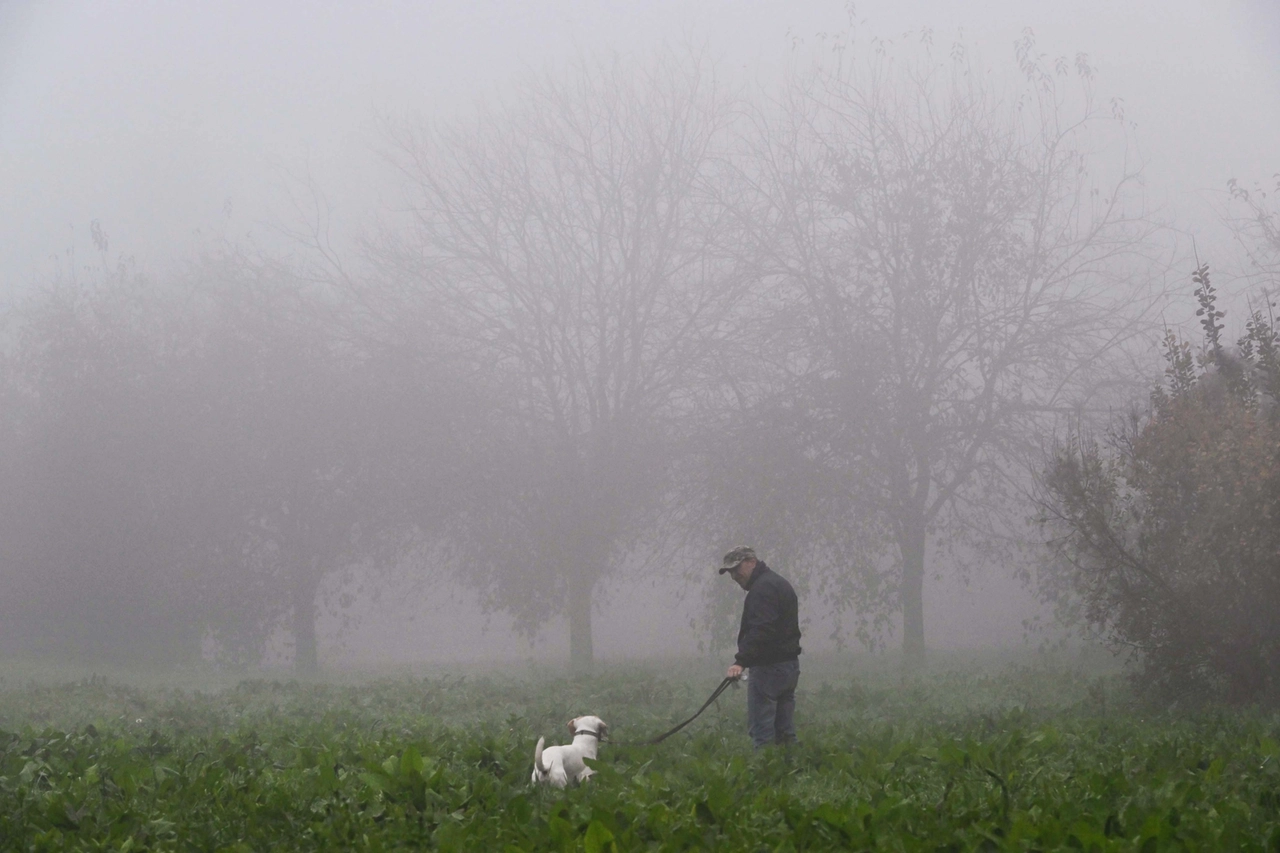 Fitta nebbia anche in Toscana