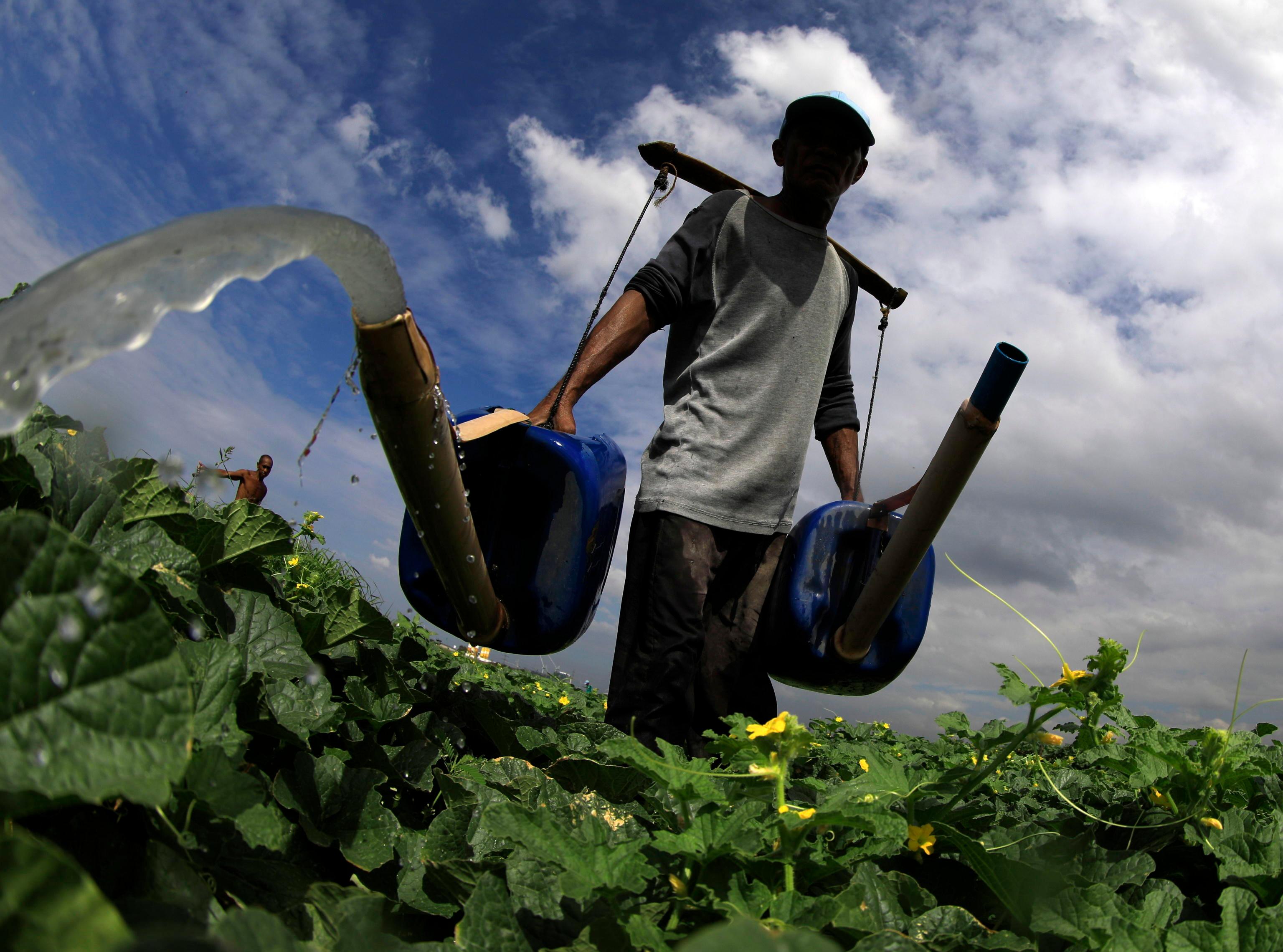 Coldiretti: 80 milioni di euro per sostenere i giovani agricoltori