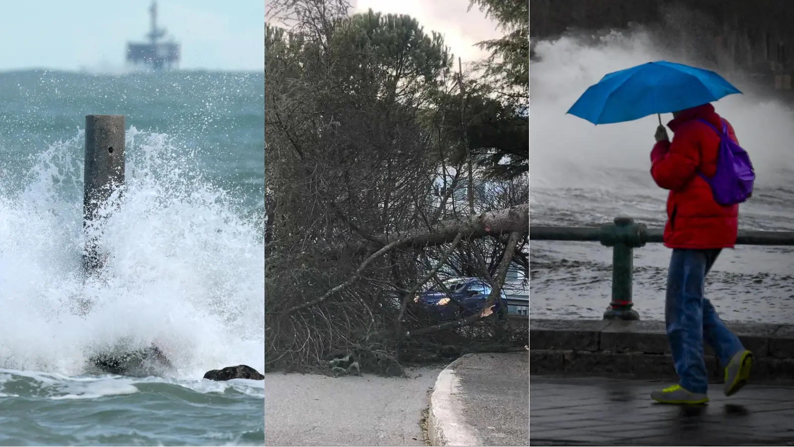 Allerta meteo, il grecale sferza la Toscana: tanti alberi caduti. E scatta il rischio neve