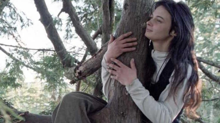 Il male e il bene che possiamo fare agli alberi e a noi stessi. “La ragazza e la sequoia” è...