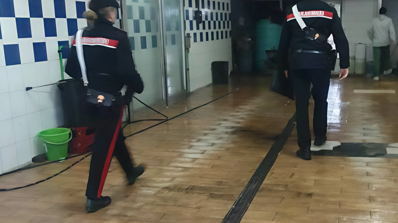 Su quello che è acacduto indagano i carabinieri della compagnia di Cortona