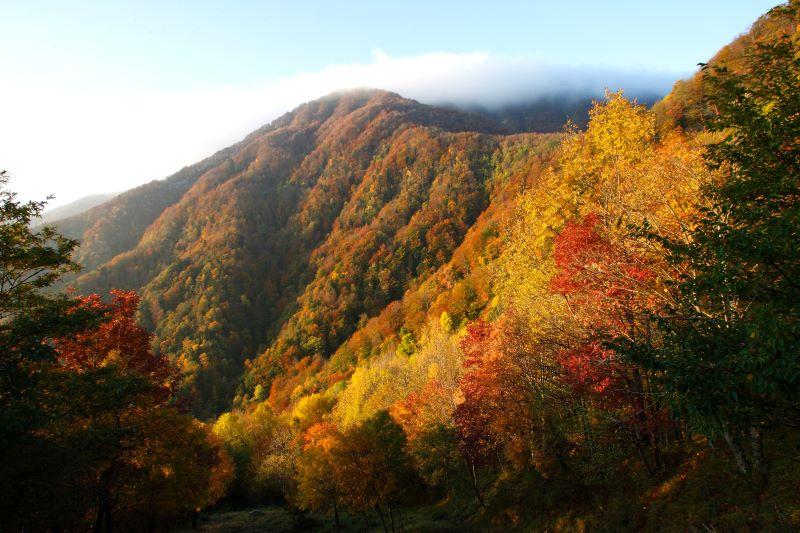 Alle Foreste casentinesi il campo internazionale 'giovani ranger'