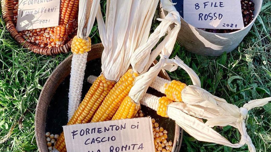 A Cascio va in scena "Un pomeriggio alla scoperta della nostra Terra"