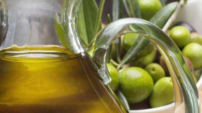 Olive toscane, un patrimonio unico