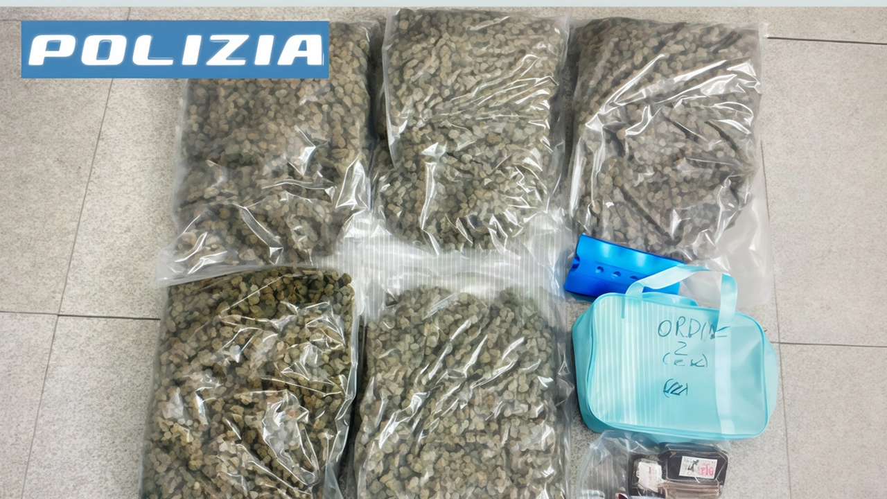 Gli agenti hanno rinvenuto nell’auto (e sequestrato). 14 chili fra marijuana e hashish. Oltre ai 25mila euro in contanti