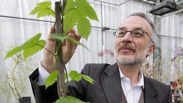 Stefano Mancuso dirige il Laboratorio internazionale di Neurobiologia vegetale