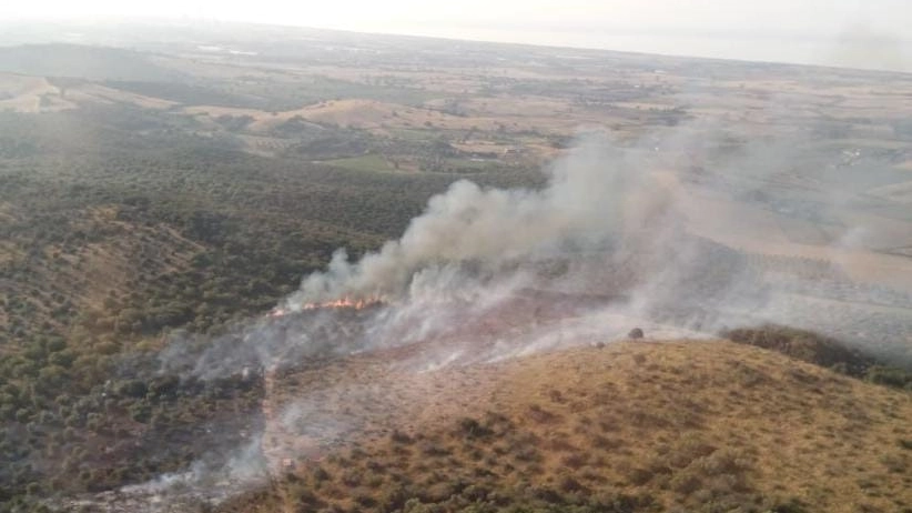 Incendio boschivo sulle colline di Capalbio, in località Campocane