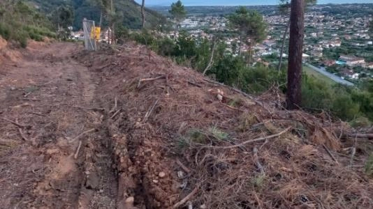 Italia Nostra: "Perchè è stata  disboscata la zona di Montepepe?"