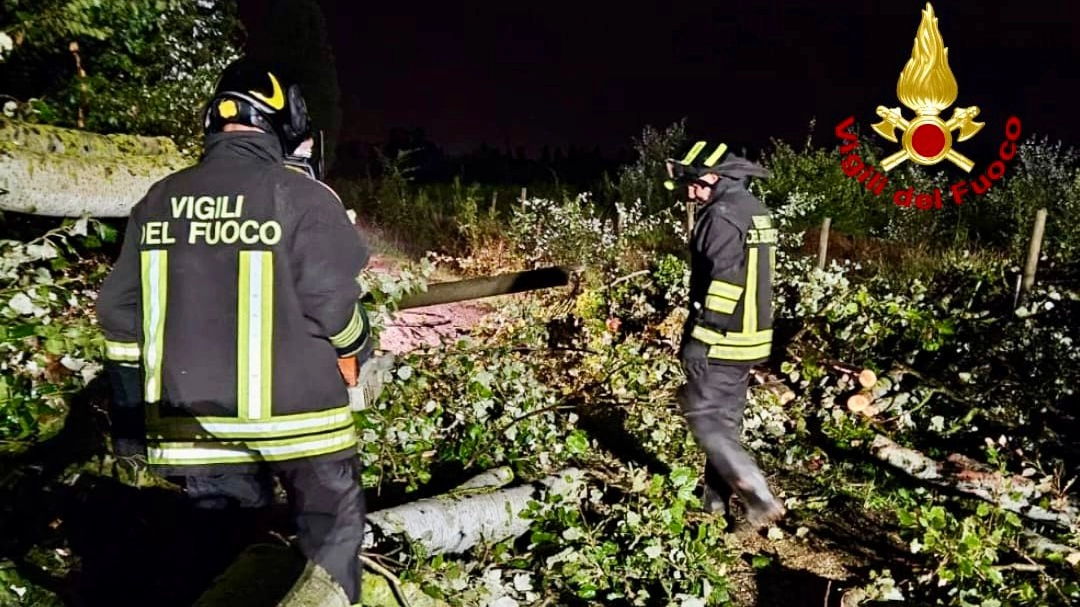 Un intervento dei vigili del fuoco di Pisa