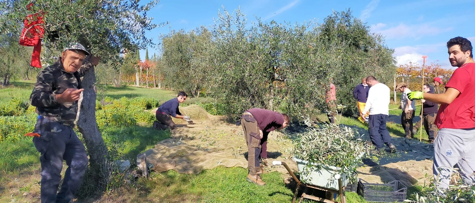 Parla l’esperto Angelo Bo, tecnico e consulente di Coldiretti Toscana