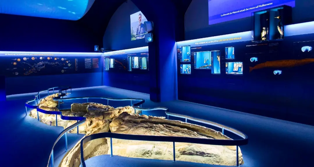 Firenze, al via le performance teatrali per i 250 anni del Museo di Storia Naturale