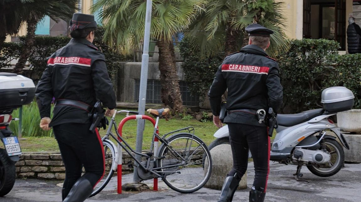 Da 72 ore con il fiato sospeso. Neonato portato via dall'ospedale, ricerche ancora senza esito