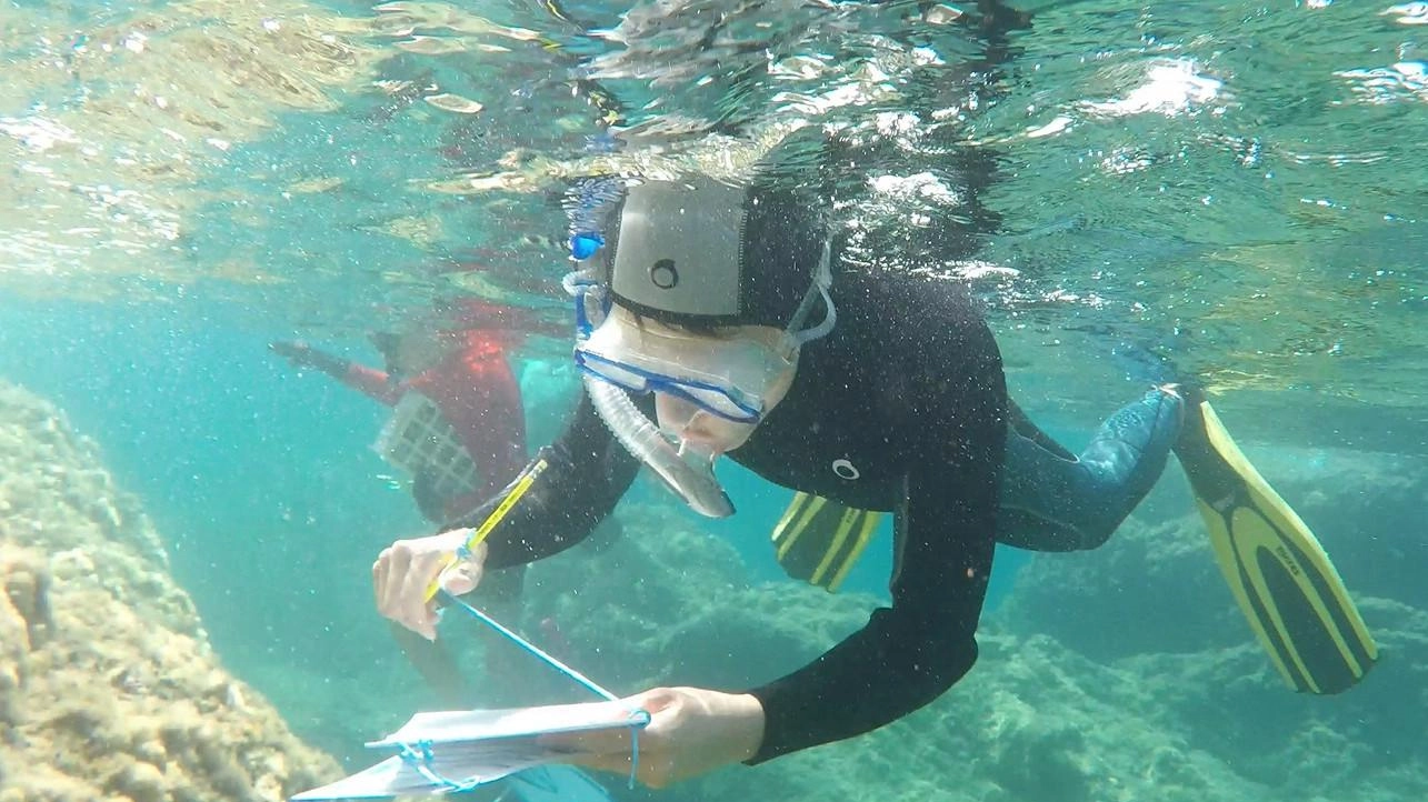 A Monterosso l’iniziativa ’BioWatching nel Blu’