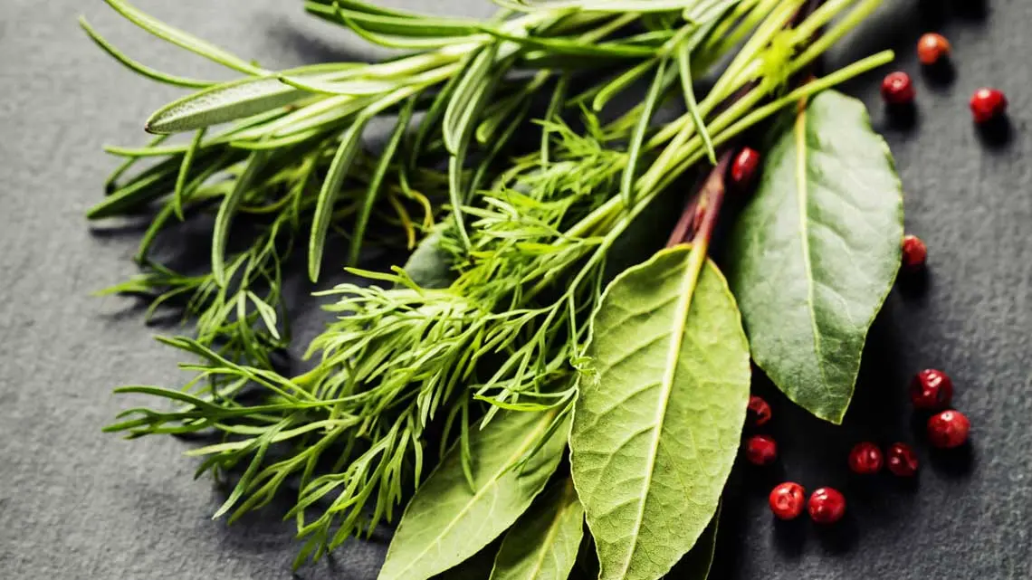 Ad Arezzo un corso teorico pratico per conoscere le piante officinali