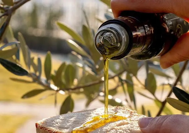 Olio toscano Igp: boom di domande per ottenere il pregiato bollino